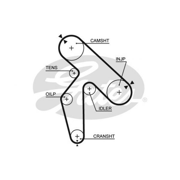 Gates 5391XS - Correia dentada - 5412571011517