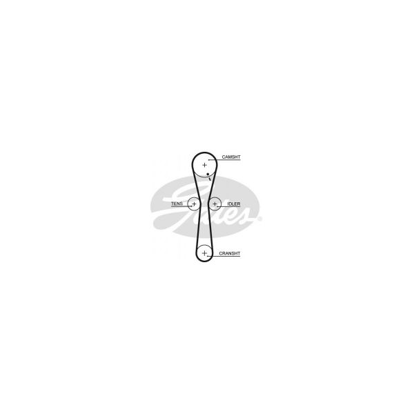 Gates 5547XS - Correia dentada - 5412571996548