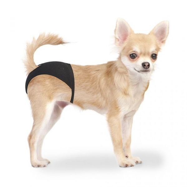Duvo+ Cuecas para Cães XS
