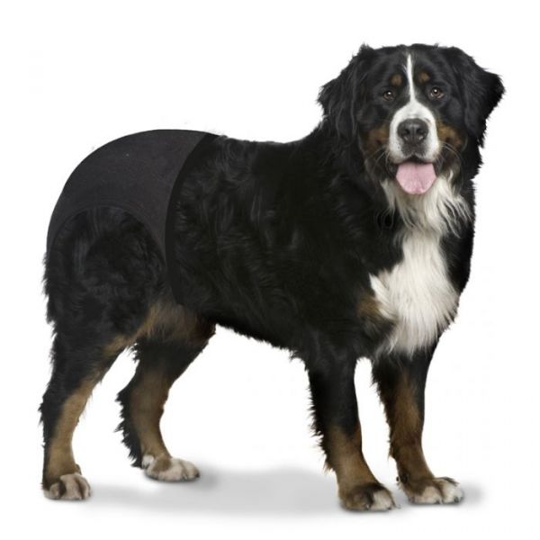 Duvo+ Cuecas para Cães XXL