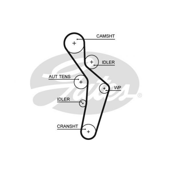 Gates 5616XS - Correia dentada - 5414465343865
