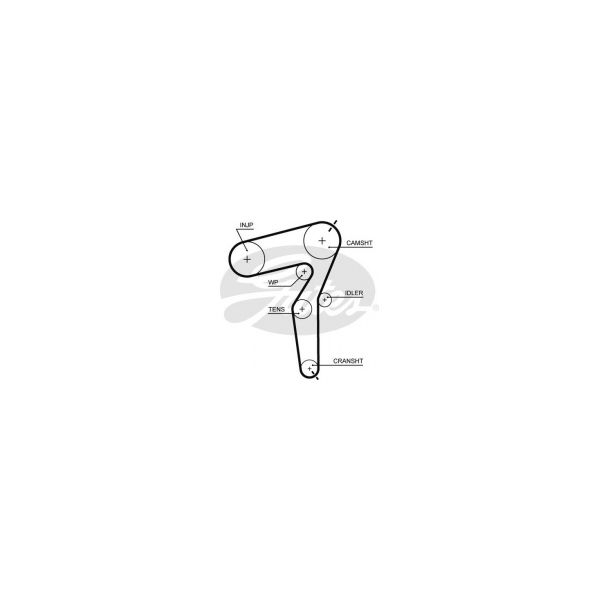 GATES - 5650XS - Correia dentada - 5414465886317