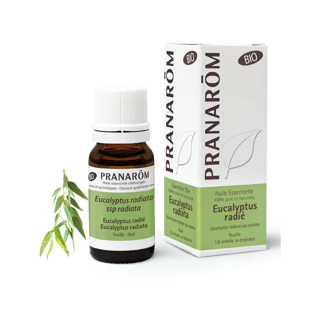 Pranarom Óleo Essencial Eucalipto Radiata 10mL