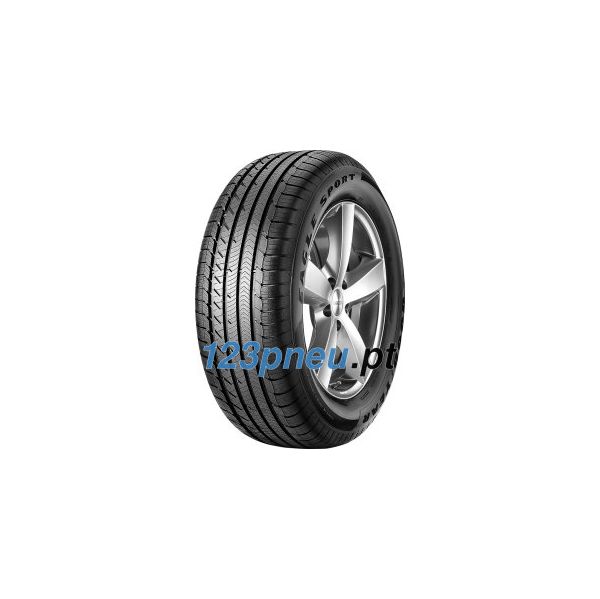 Pneu Auto Goodyear Eagle Sport All-Season 245/50 R20 105V