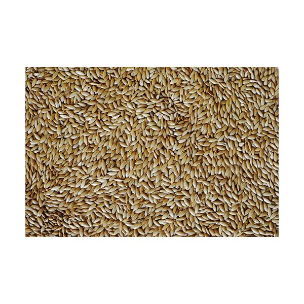 Canto Alegre Alpista Limpa 1Kg