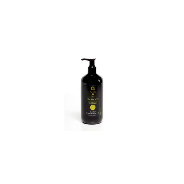 Dermo Afro Champu Mango-Argan Cabelo Cacheado e Crespo 500ml