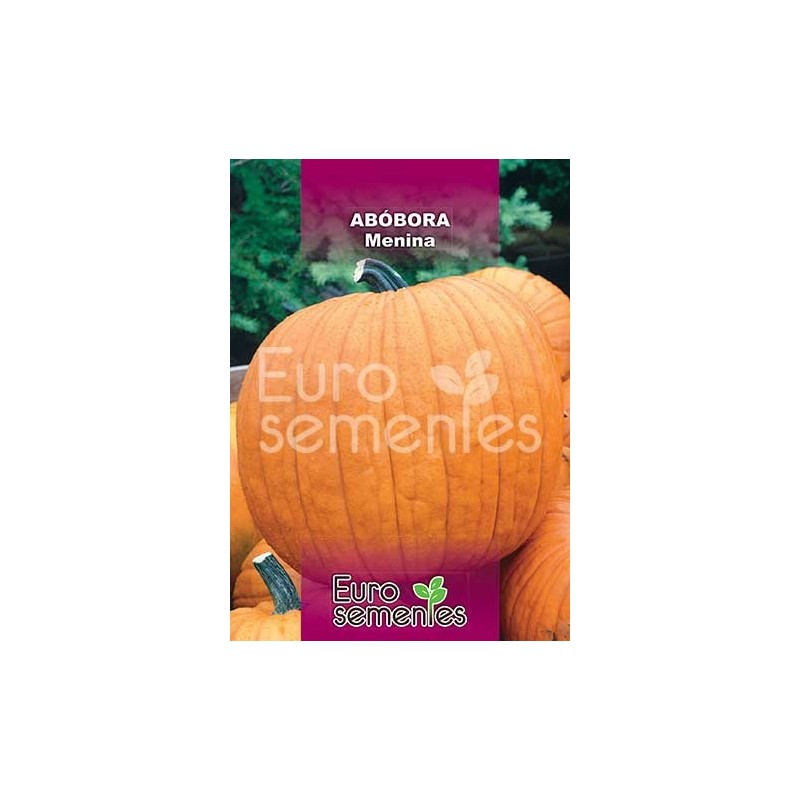 SEMENTES ABOBORA MENINA EURO SEMENTES 10GR