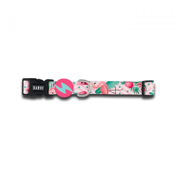 Dashi Coleira Flamingo M