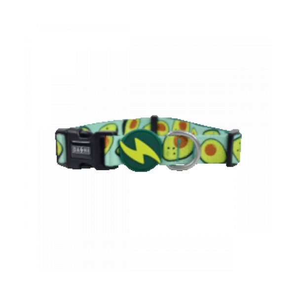 Dashi Coleira Avocado L