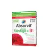 Farmodietica Absorvit Biloba Ginkgo + B1 60 Comprimidos
