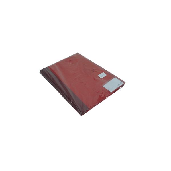 Classificador Plast Vermelho Capa Transparente c/ Ferragem 10 un. 115Z28095