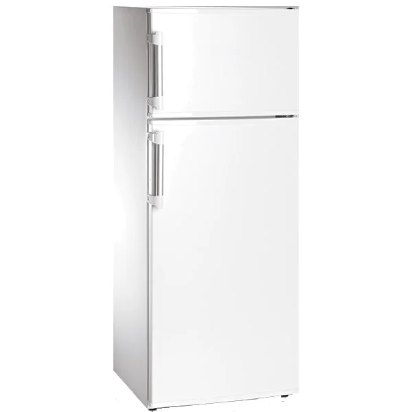 Frigorífico 2 Portas Com Congelador Starlux STF 245 227L Classe F