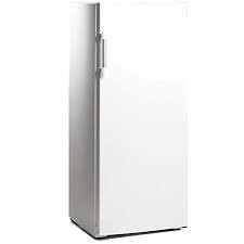 Arca Vertical Starlux SXCV300S | 193L, Classe E, 43dB
