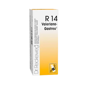 R14 Gotas | 50 ml – Dr. Reckeweg