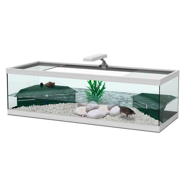 Aquatlantis Terrário Tartaruga Tortum 100 Branco