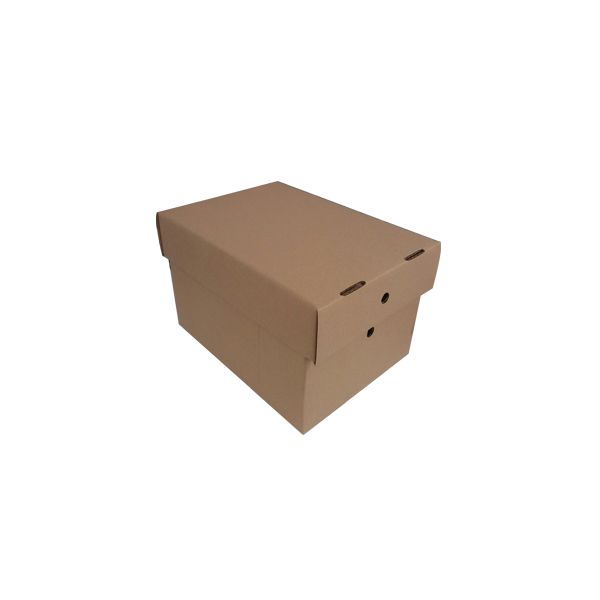 Caixa de Cartão 306x226x197mm c/Tampa Pack 25 Un.