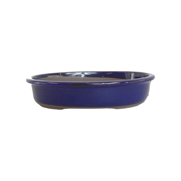Luso Bonsai Vaso de Bonsai Oval 28*21*5 cm Azul - Japão - 84052