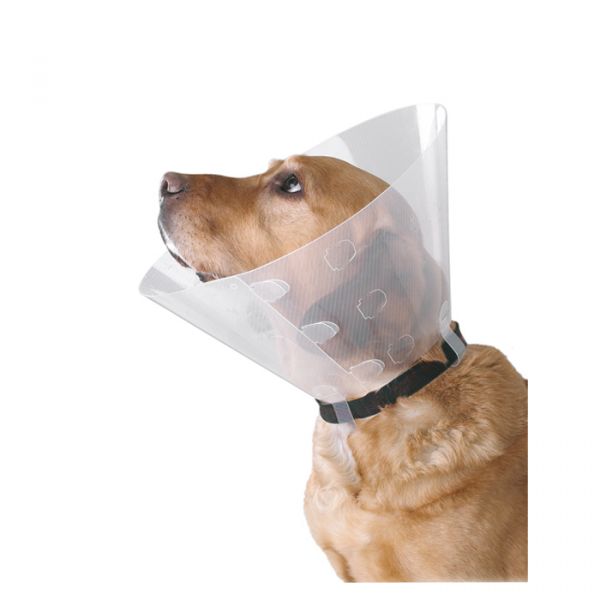 Buster Colar Isabelino Clic Transparente 7,5 cm