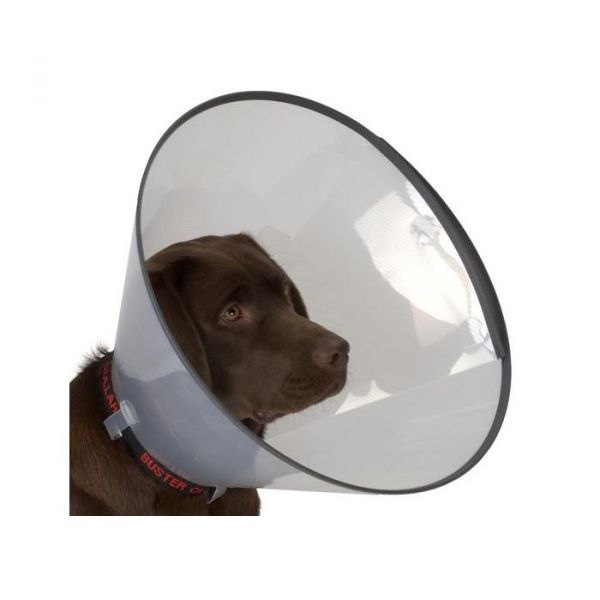 Buster Colar Confort 30 cm