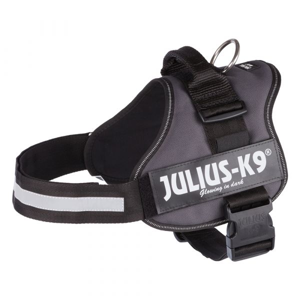 Julius-K9 Peitoral Cinzento L