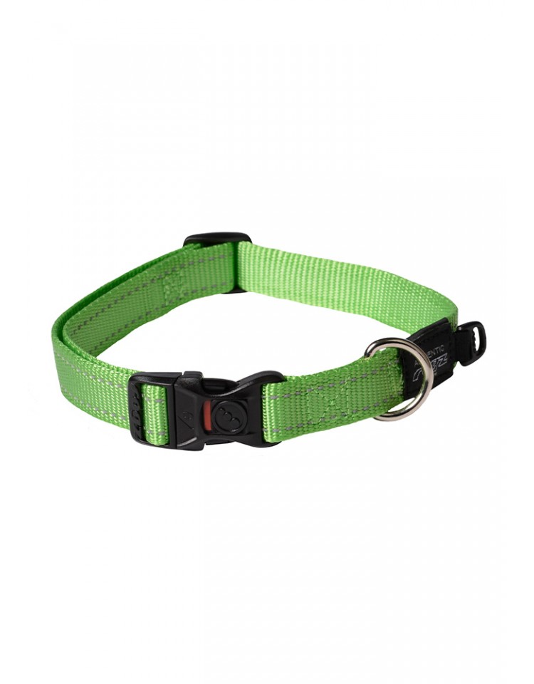 Rogz - Coleira Refletora para cão - Verde