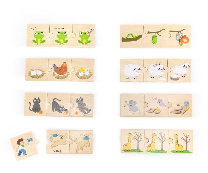 Puzzle de correspondência Viga Natureza