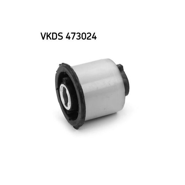 SKF Corpo do Eixo - VKDS473024