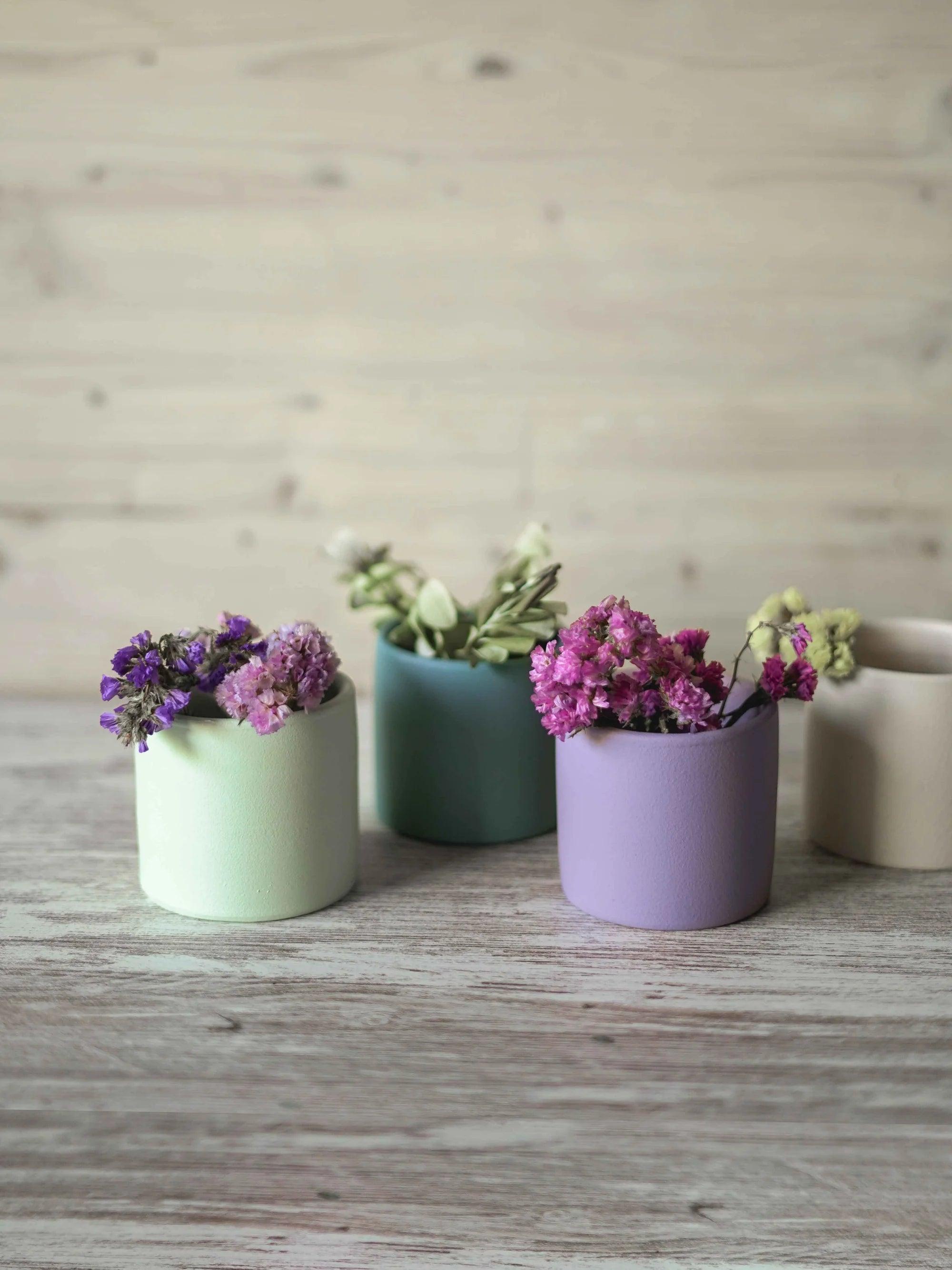 Mini vaso para plantas e catos
