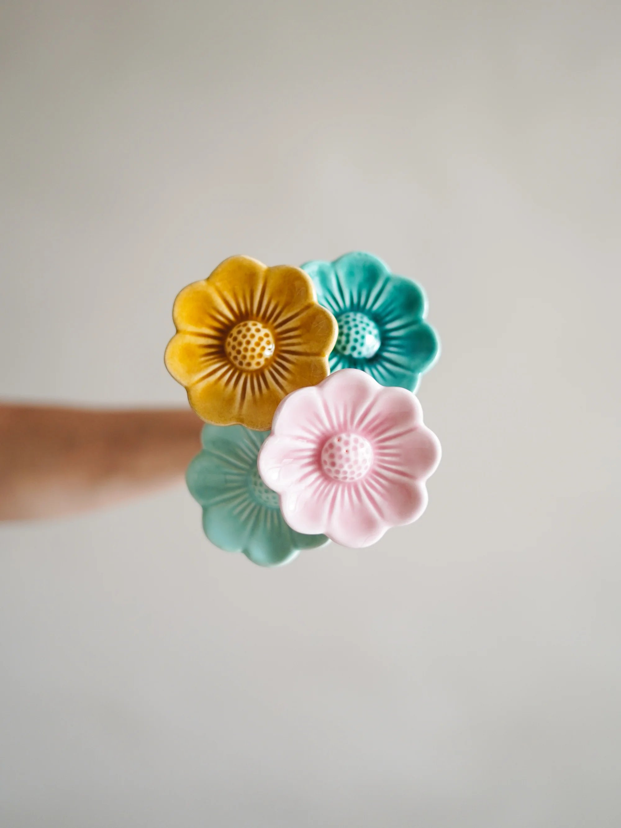 Flor Cosmos