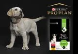 Purina Pro Plan Pro Plan Cão Cachorro Médio/Grande