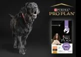 Purina Pro Plan Pro Plan Cão Senior 7+ Médio/Grande