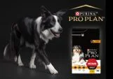 Pro Plan Light Sterilised Frango Ração para Cão - Campet