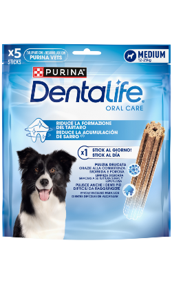 Purina Dentalife Snack Large Maxi 115g