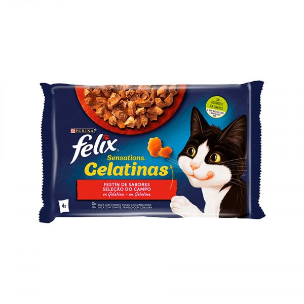 Ração Húmida Purina Felix Sensations Gelatina Carnes 4x 85g
