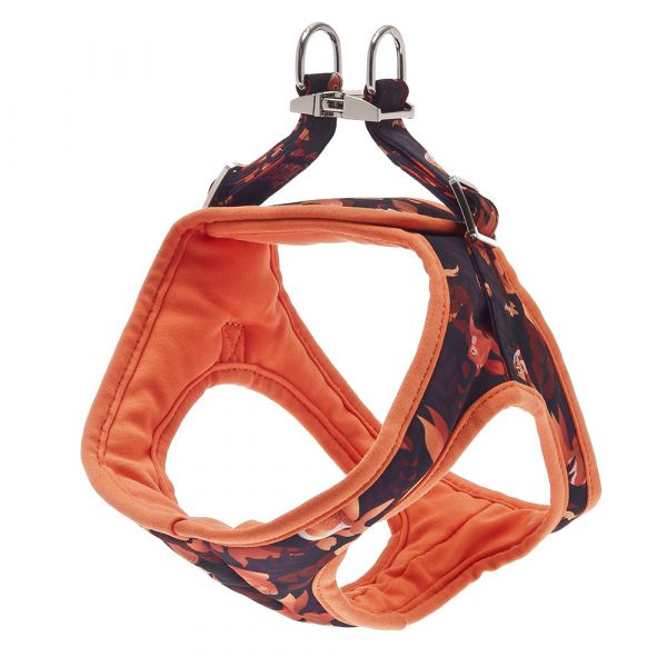 Ferribiella Peitoral Kami Laranja Floral Cães Xxs