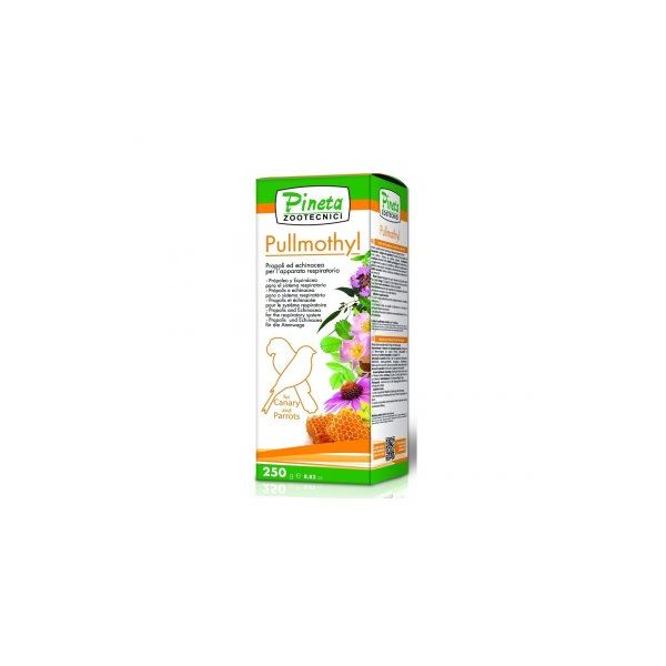 Pineta Pullmothyl Liquido 24g