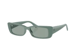Ray-Ban Teru RB4425 676282