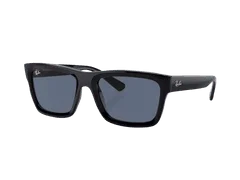 Ray-Ban Warren RB4396 667780