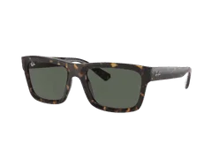 Ray-Ban Warren RB4396 135971