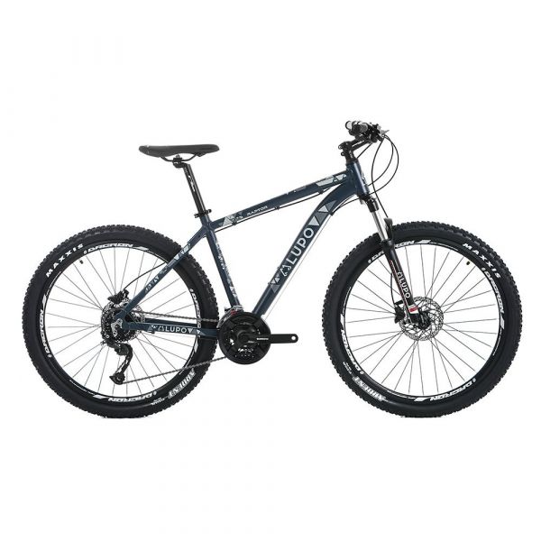Lupo Raptor 1 29´´ Mtb Bike Cinzento 51