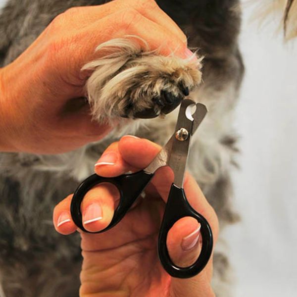 Ibanez Corta Unhas Raças Pequenas