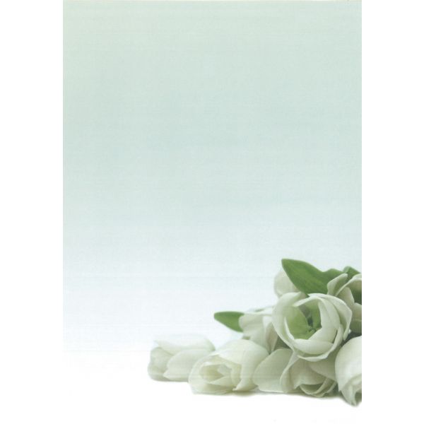 Papel Flores Brancas 90g 20 Fls - 12126