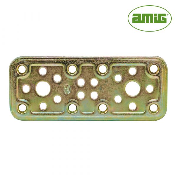 Amig S.of Placa 500-120X50 Aço Bicromatado (s) - ELK88058