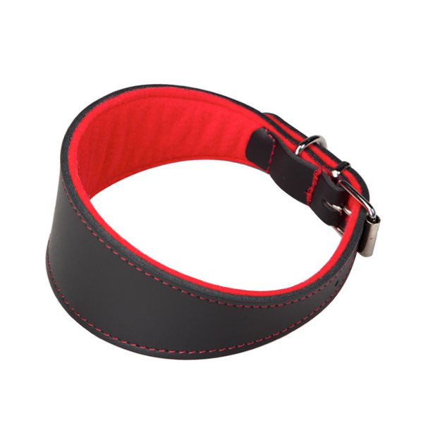 Arppe Coleira Galgos Superfelt Black & Vermelha M