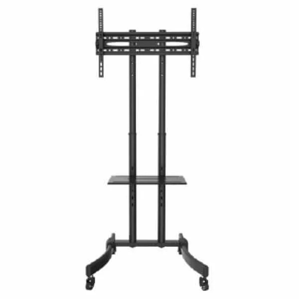 Portes Grátis acima de 50€