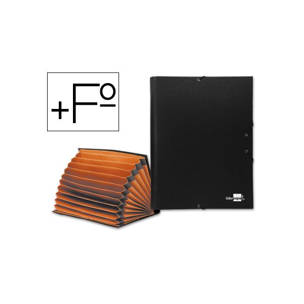 LiderPapel Pasta Classificadora Paper Coat c/ Fole 12 Divisórias - CF02