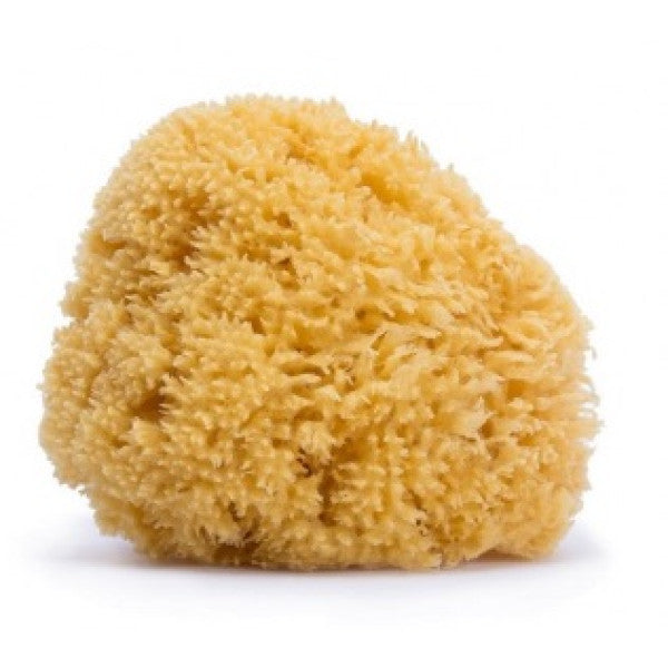 Suavinex Esponja Natural de Banho Grande