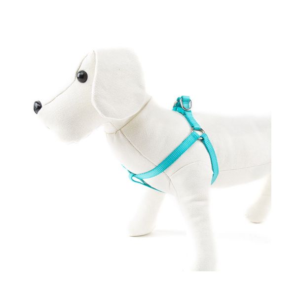 Nayeco Coleira Cão Nylon Basic Agua-marinha L
