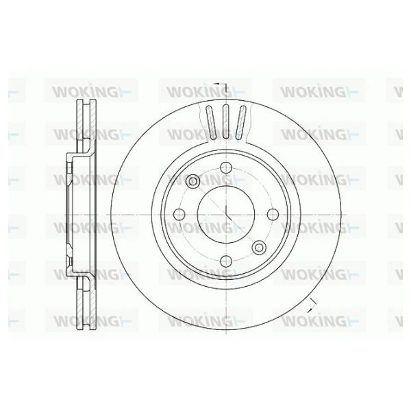 WOKING Disco de Travão - D6603.10
