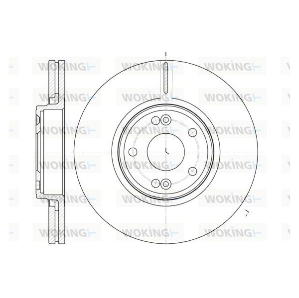 WOKING Disco de Travão - D6612.10